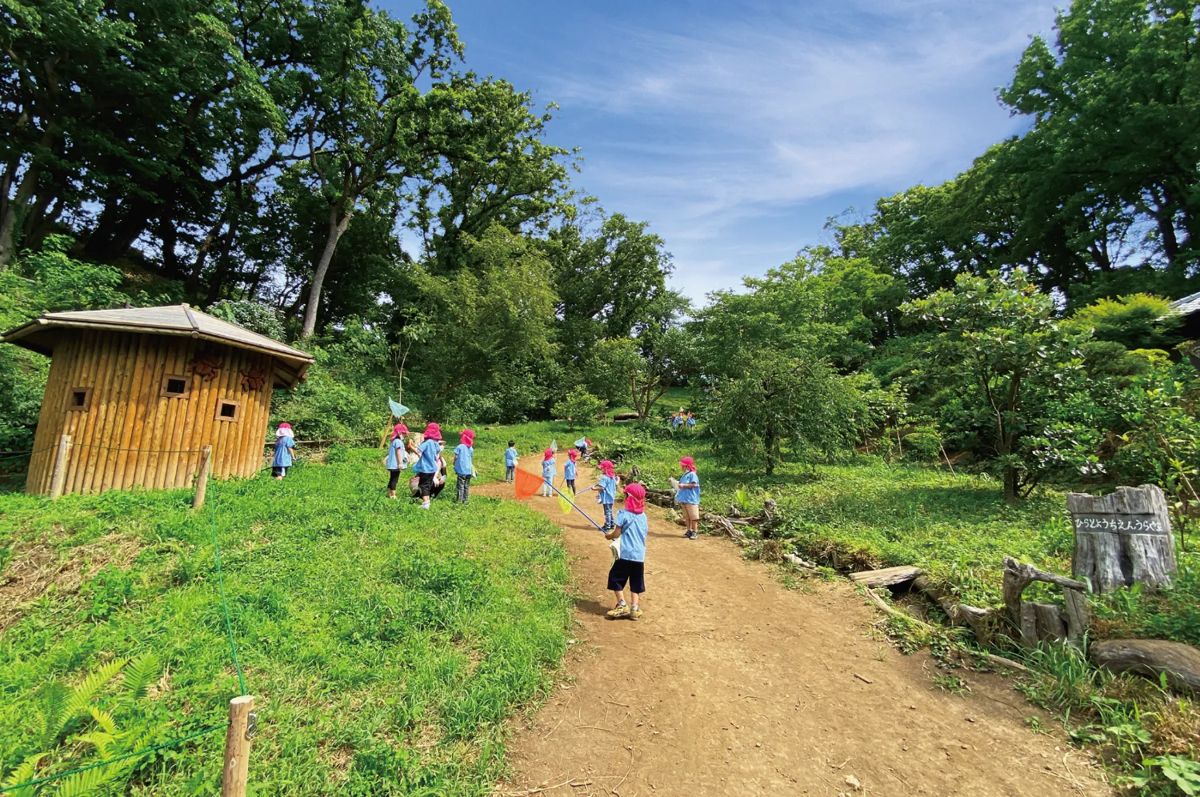平戸幼稚園 — 裏山で虫とりをして遊ぶ子どもたち